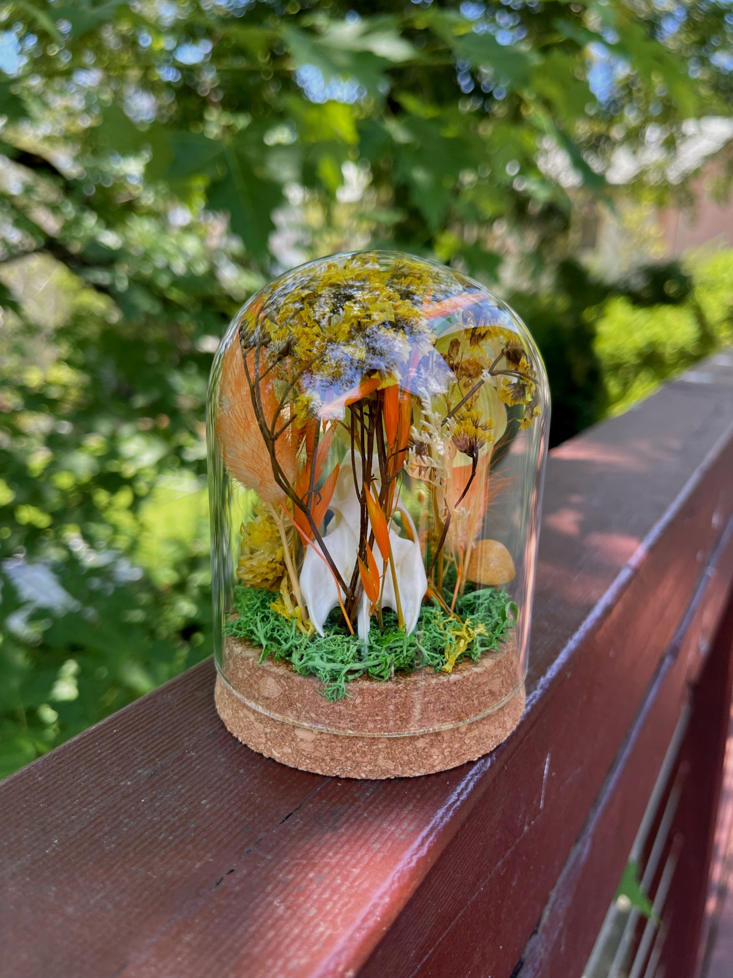 ‘Energy’ Turtle Skull Dome with Common Emigrant Butterfly