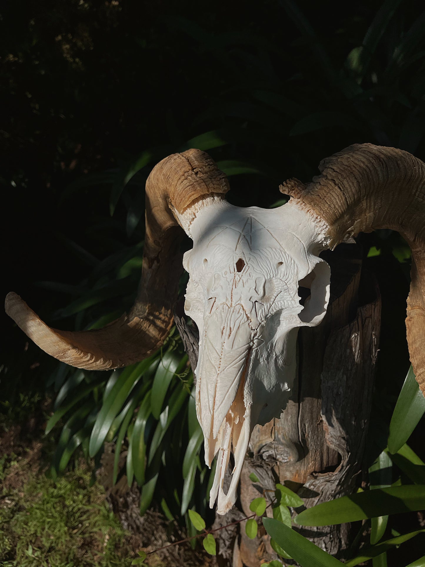 Geometric Ram Skull Carving