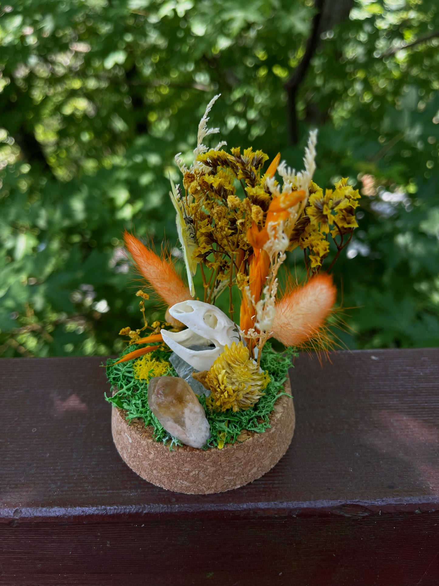 ‘Energy’ Turtle Skull Dome with Common Emigrant Butterfly
