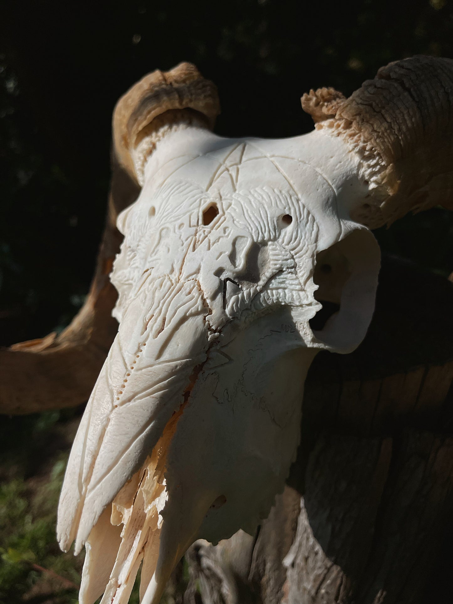 Geometric Ram Skull Carving