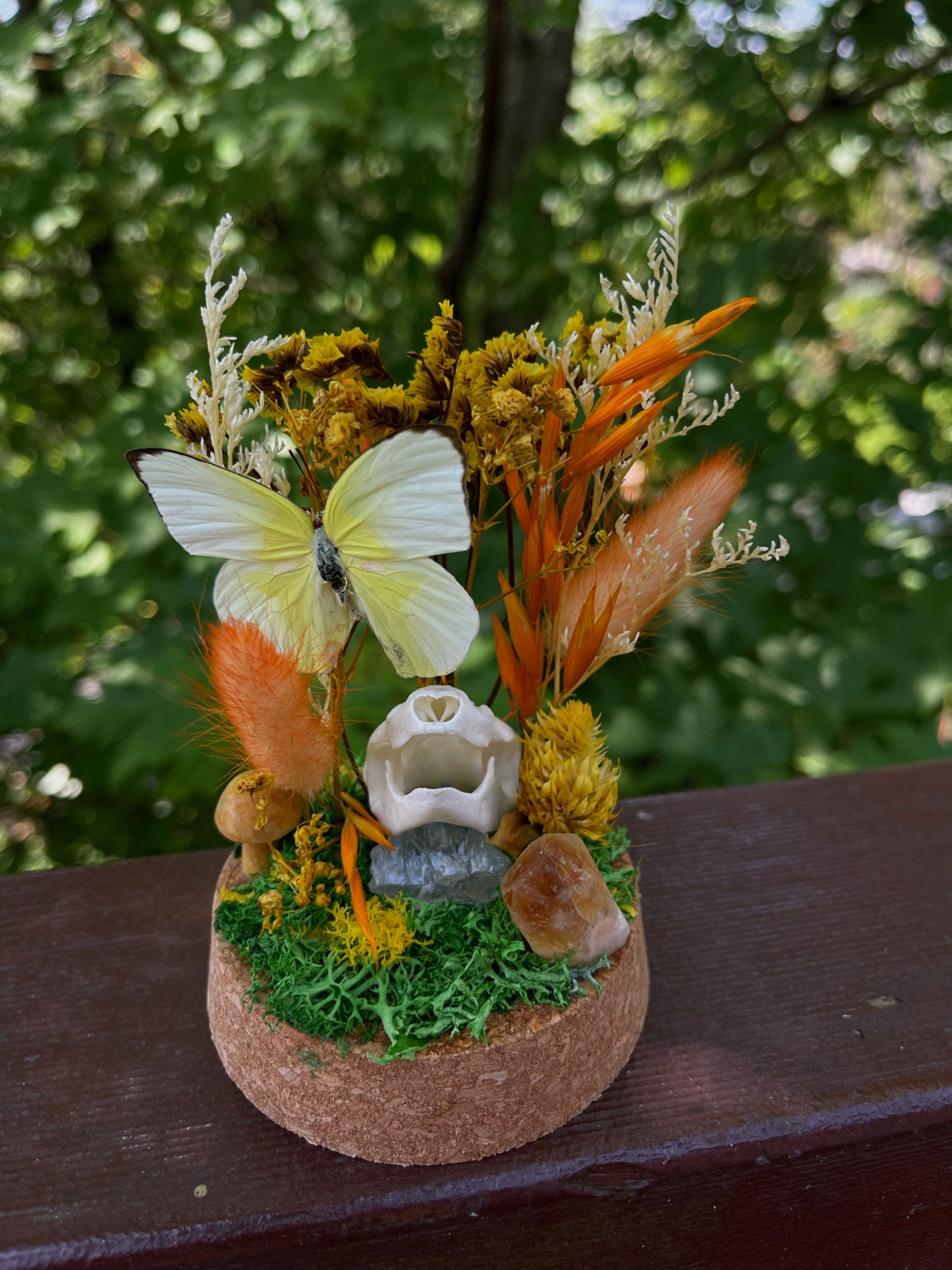 ‘Energy’ Turtle Skull Dome with Common Emigrant Butterfly
