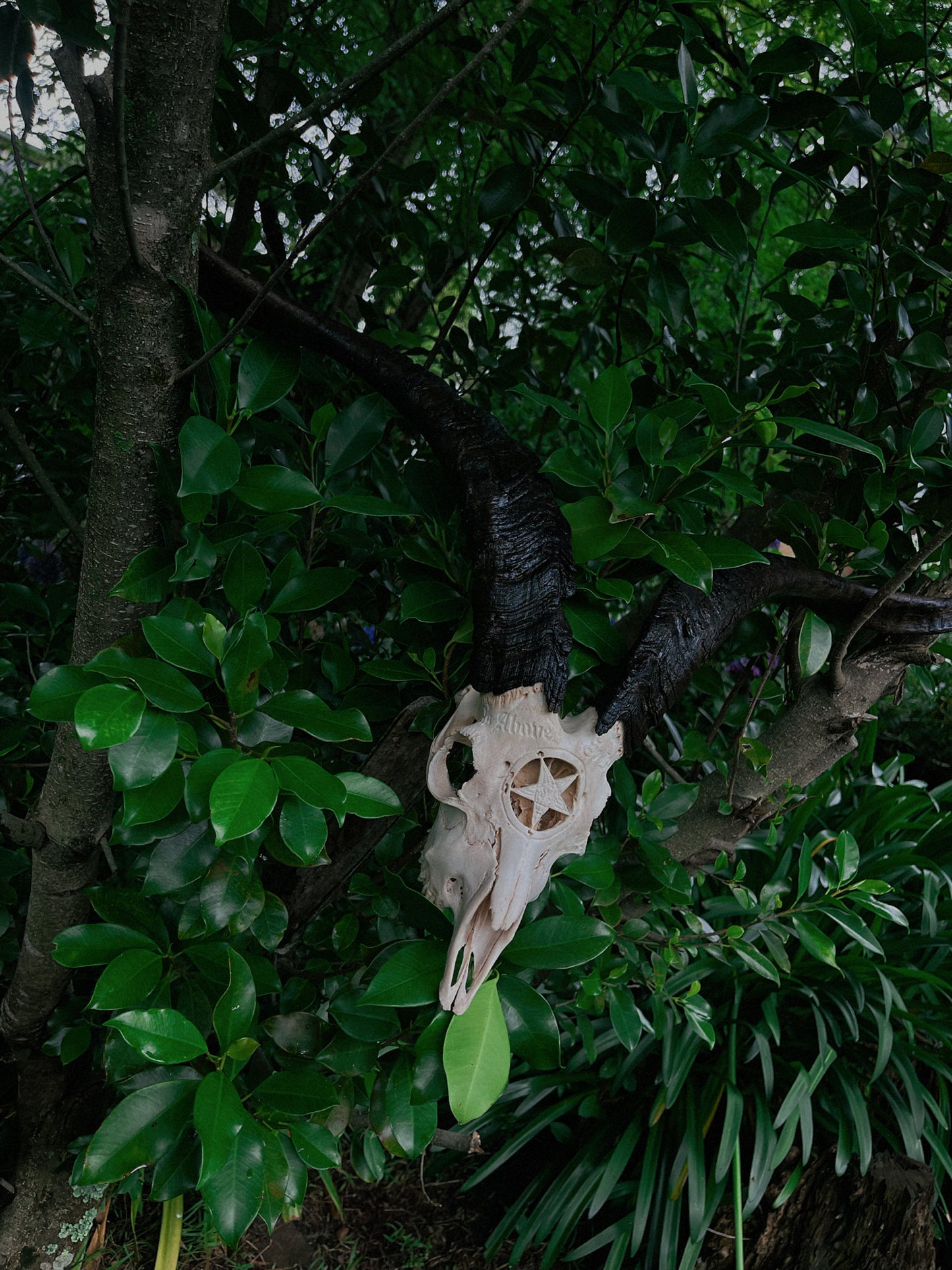 Carved Baphomet Goat