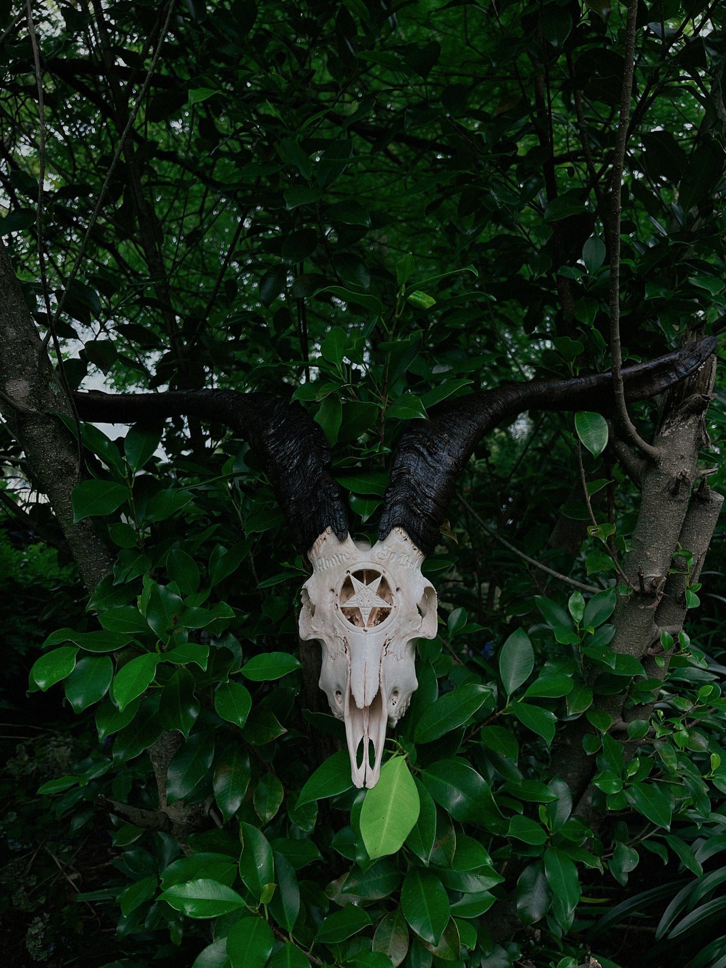Carved Baphomet Goat