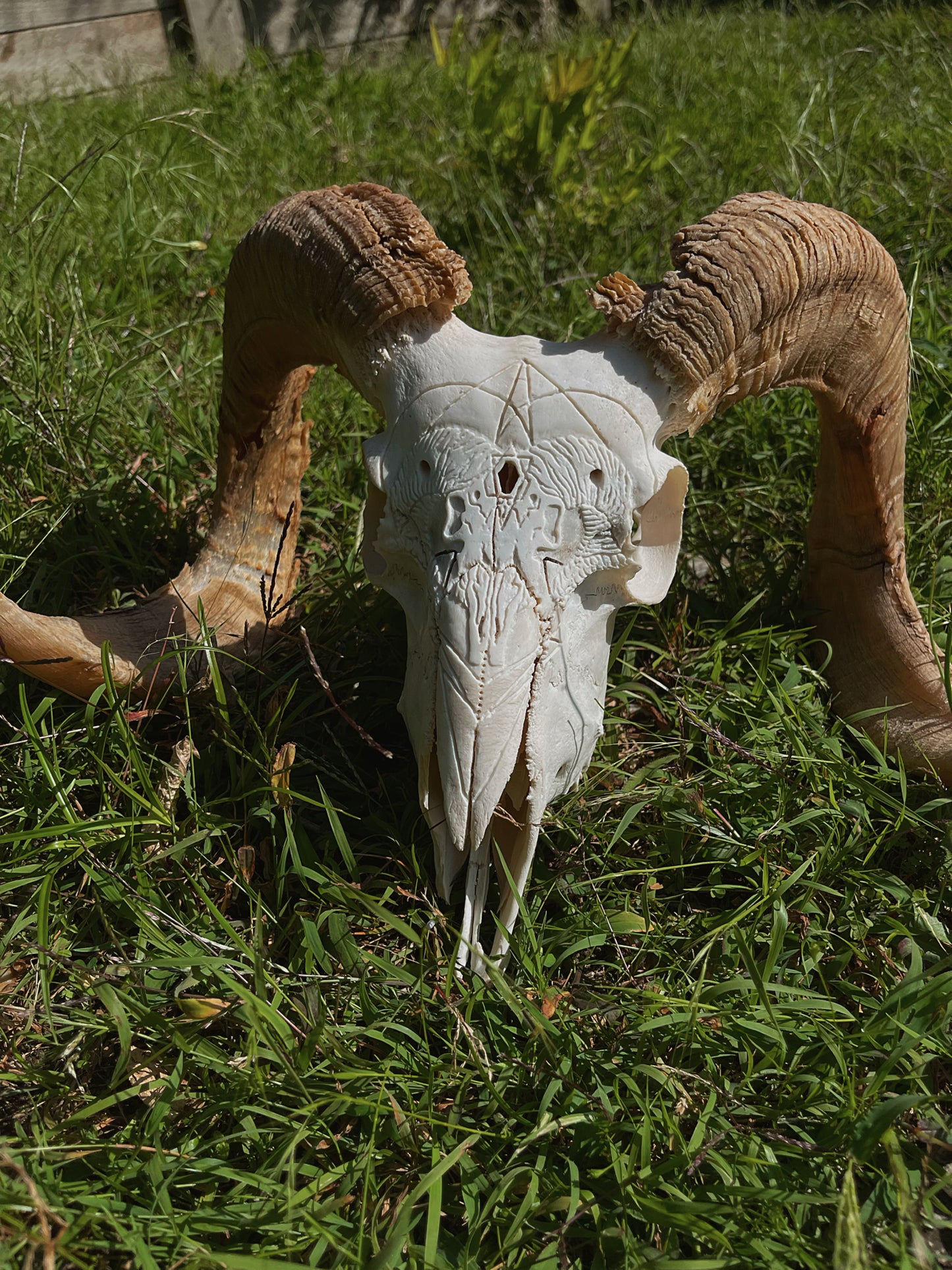 Geometric Ram Skull Carving