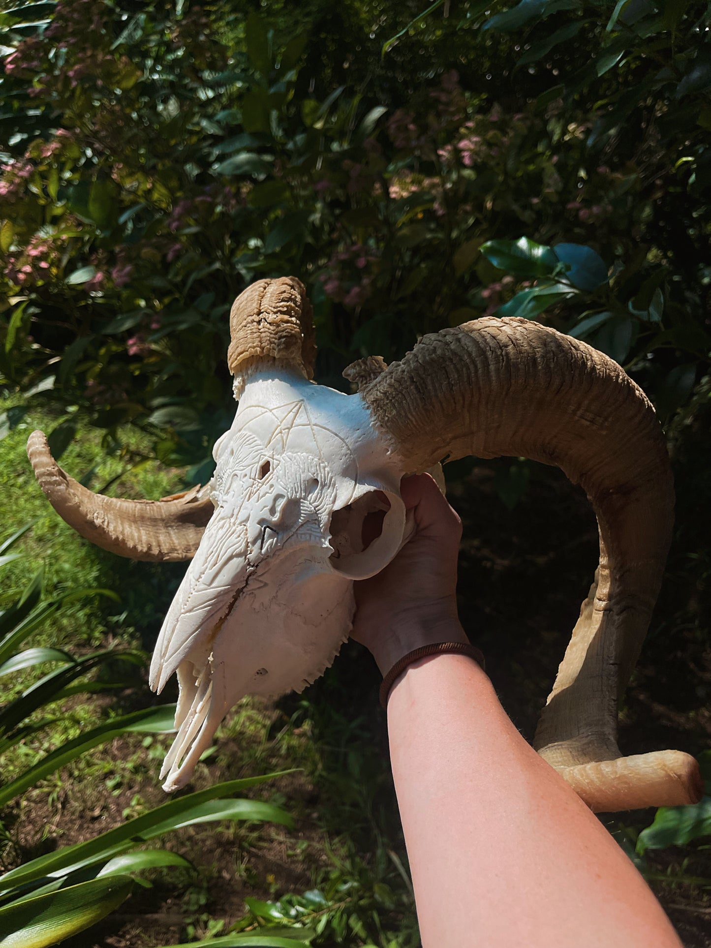 Geometric Ram Skull Carving