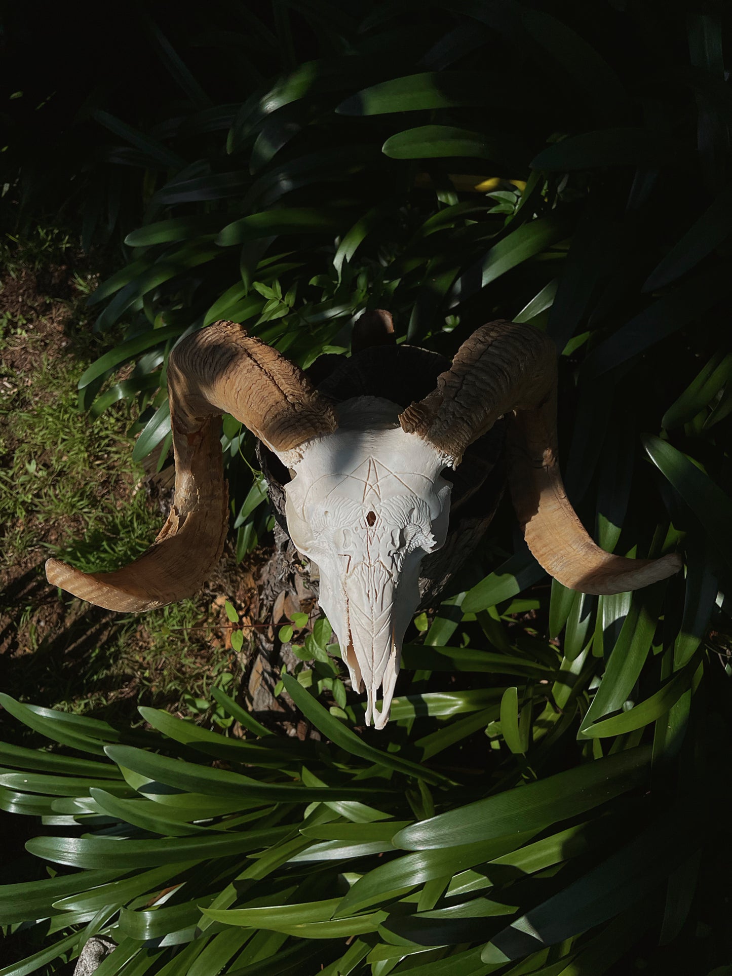 Geometric Ram Skull Carving