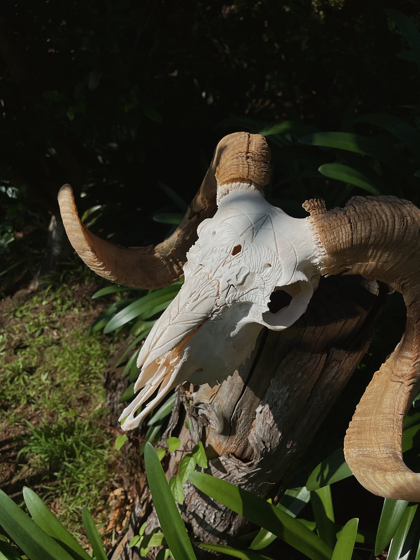Geometric Ram Skull Carving