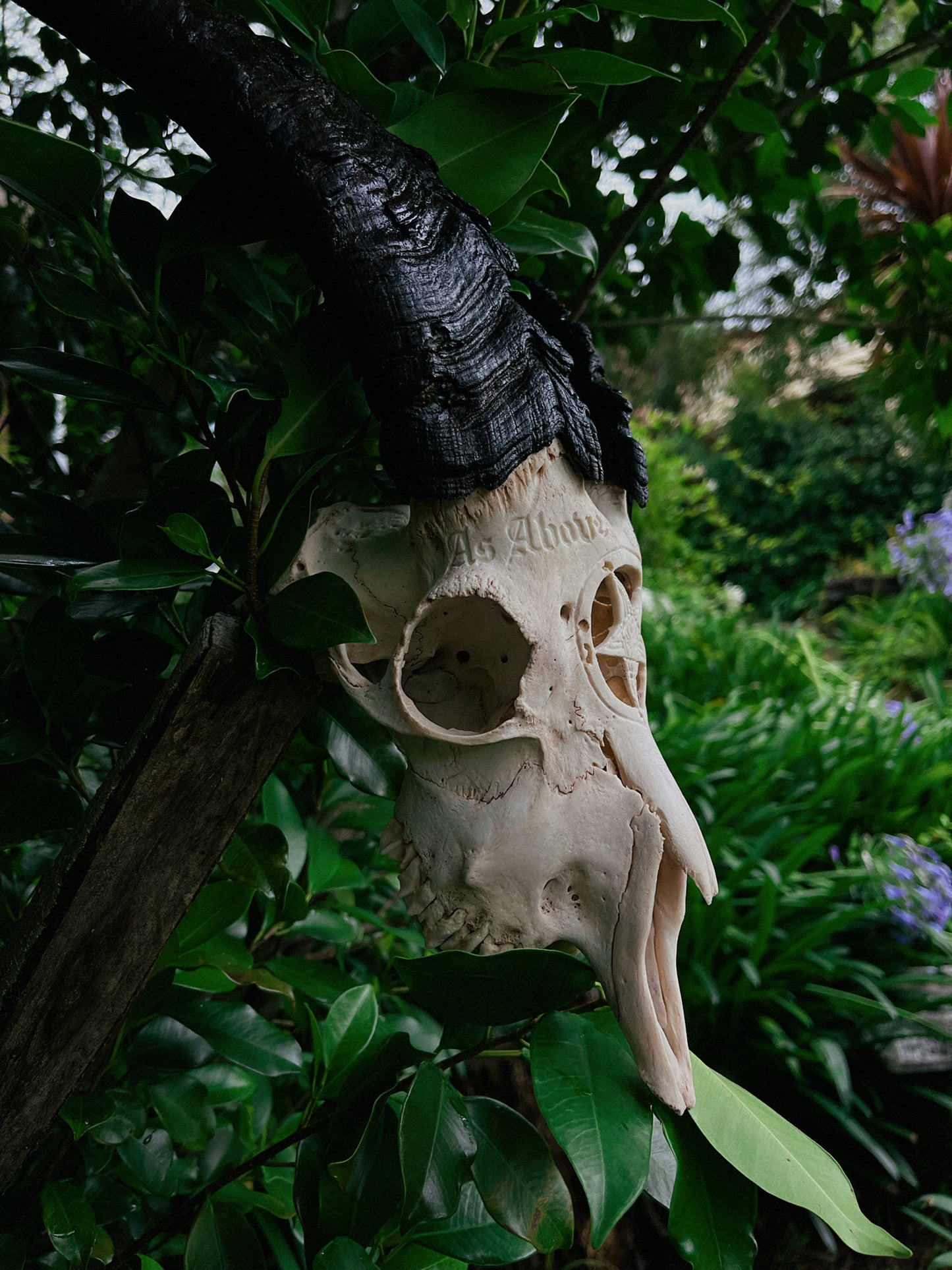Carved Baphomet Goat