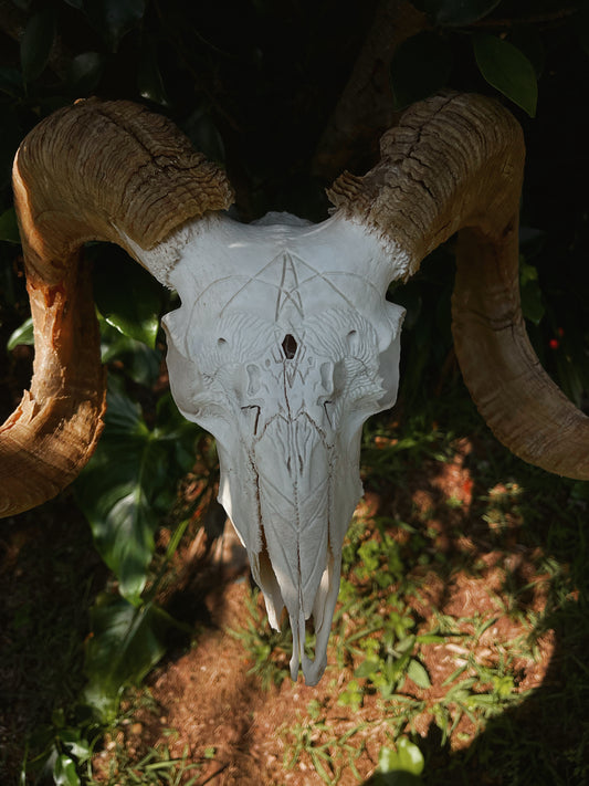 Geometric Ram Skull Carving