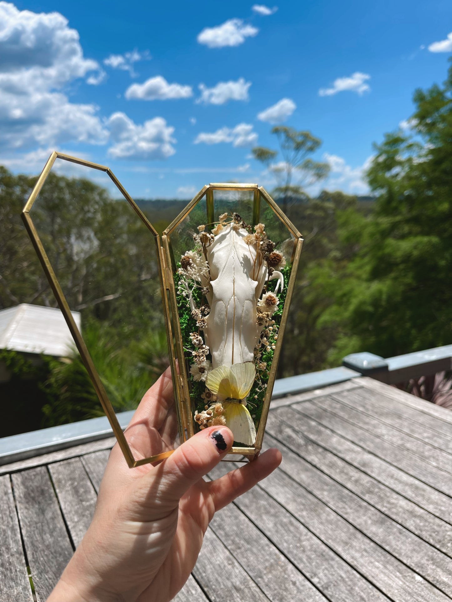 ‘Glimmers’ fox skull in glass coffin