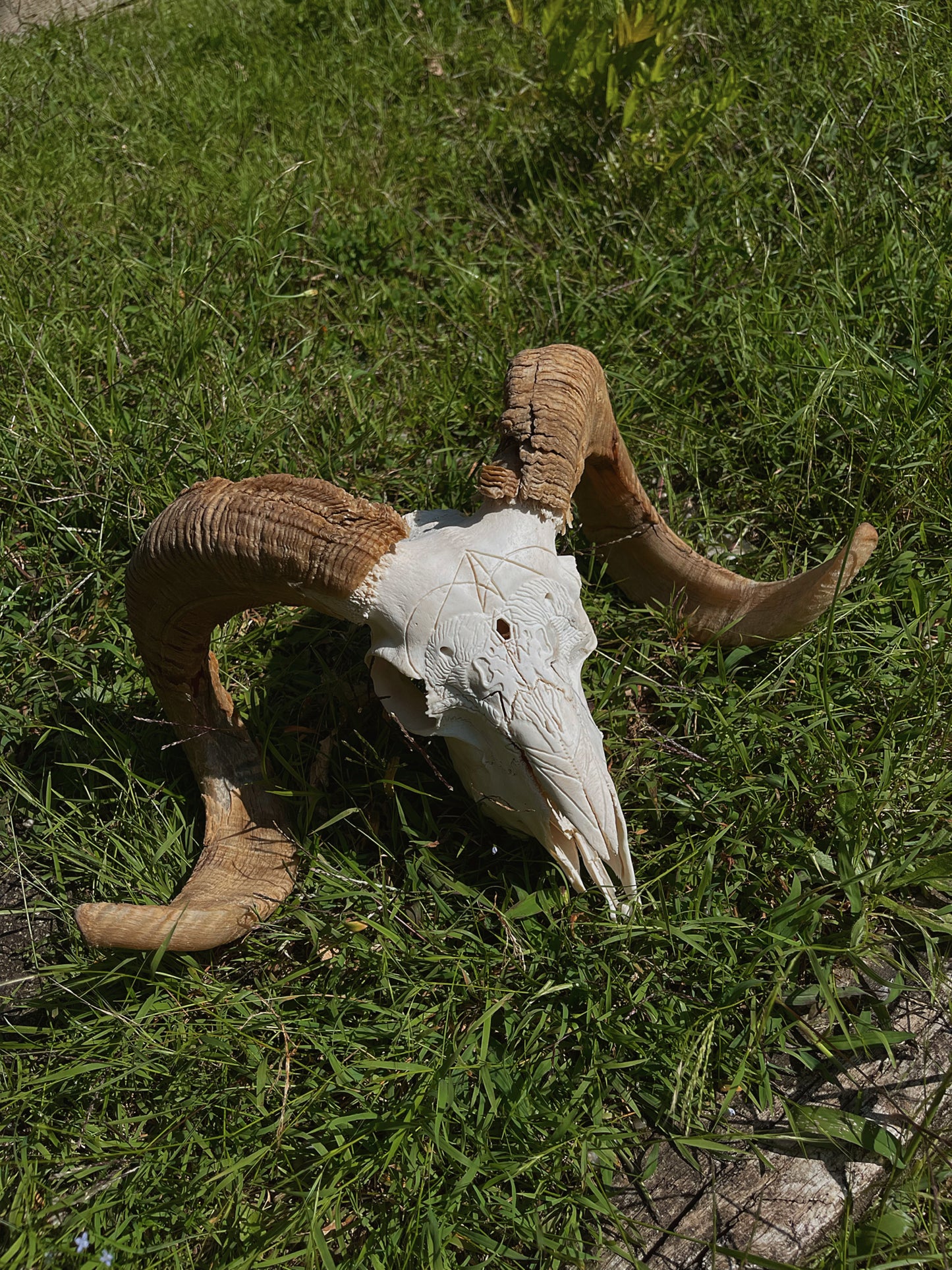 Geometric Ram Skull Carving
