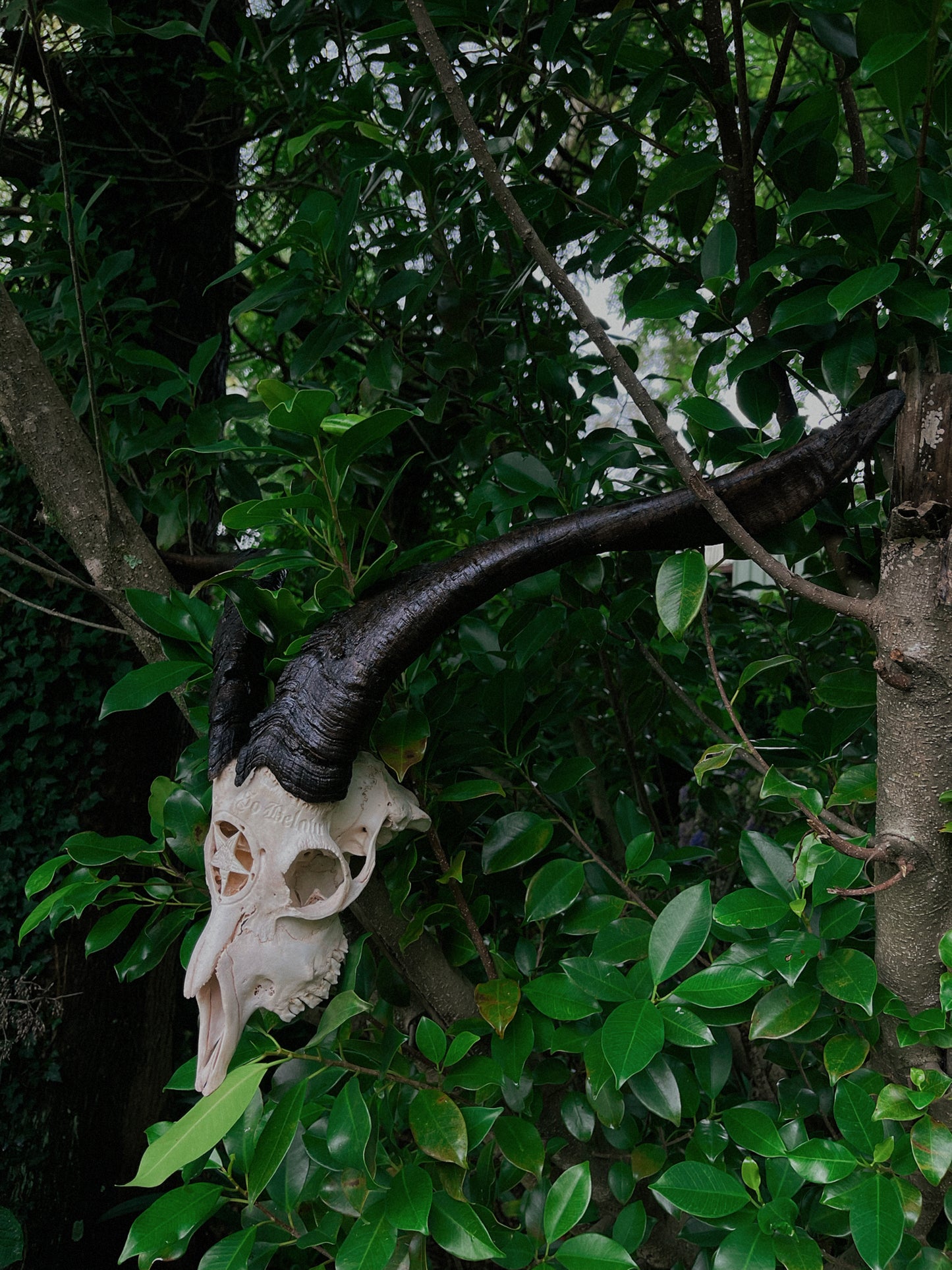 Carved Baphomet Goat