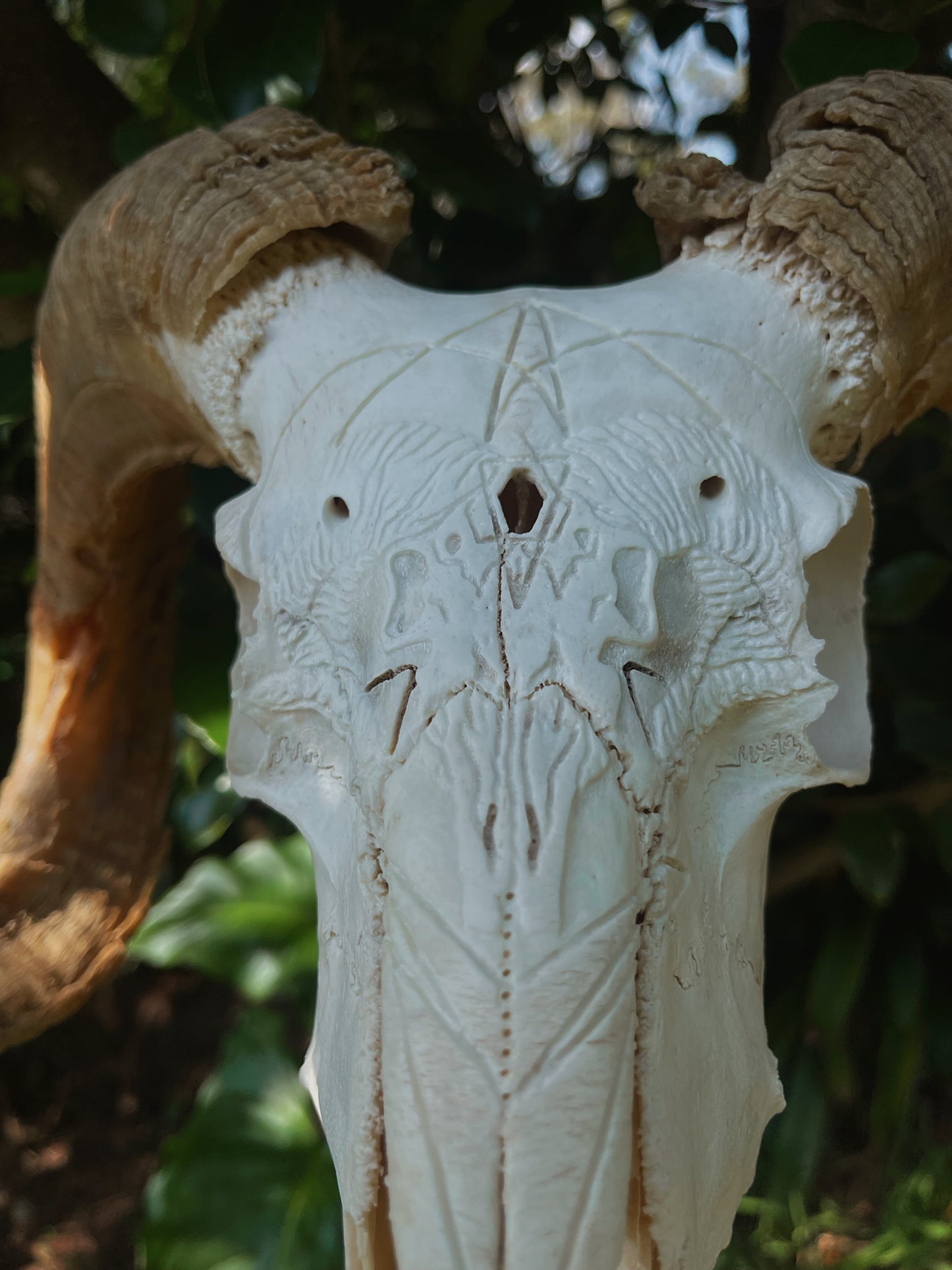 Geometric Ram Skull Carving