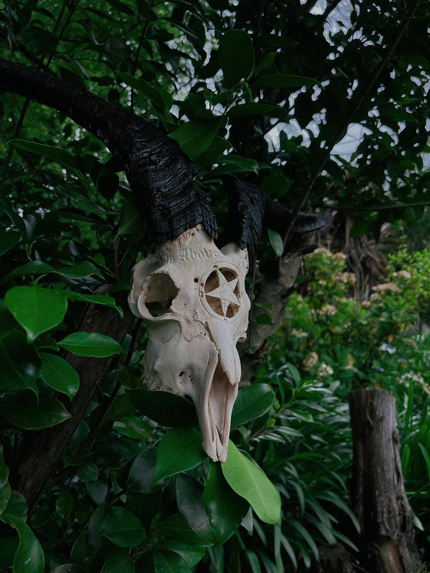 Carved Baphomet Goat
