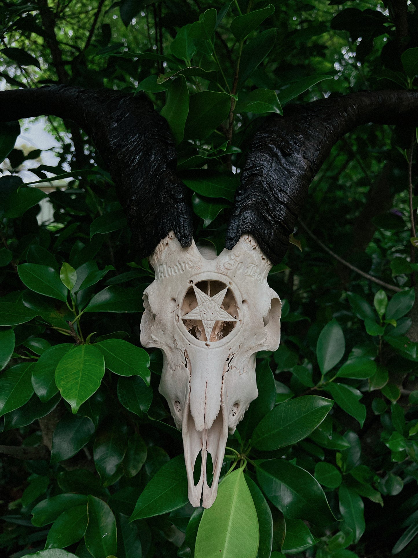Carved Baphomet Goat