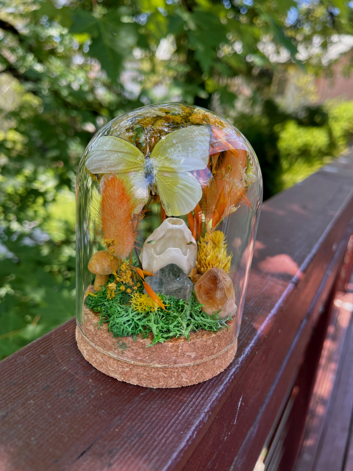 ‘Energy’ Turtle Skull Dome with Common Emigrant Butterfly