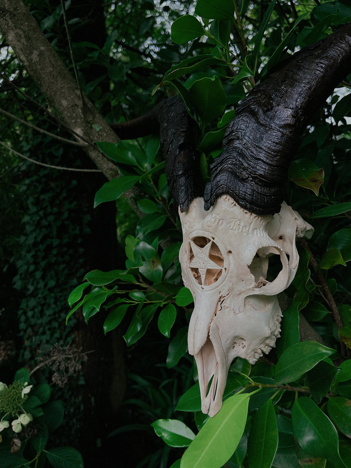 Carved Baphomet Goat