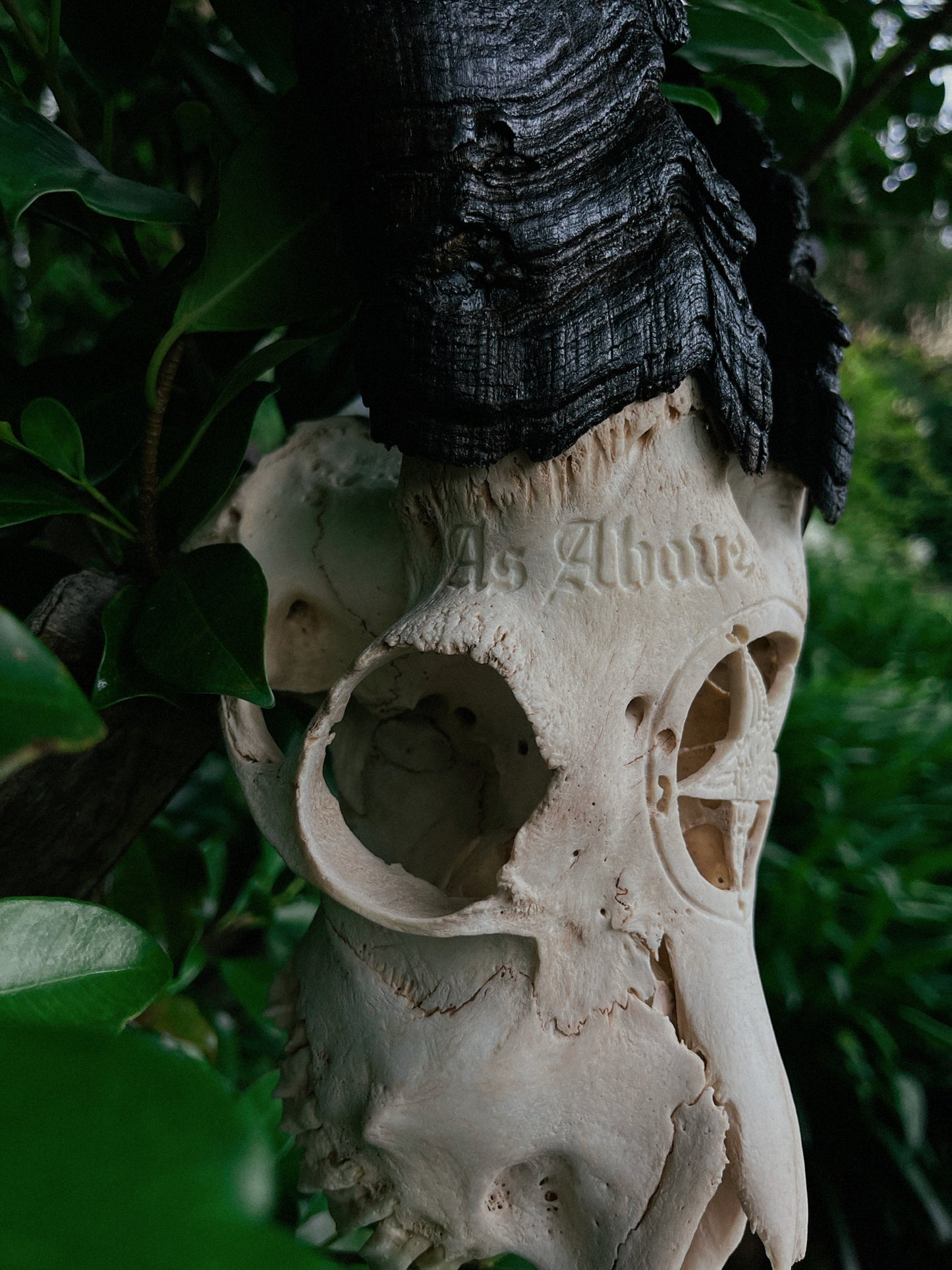 Carved Baphomet Goat