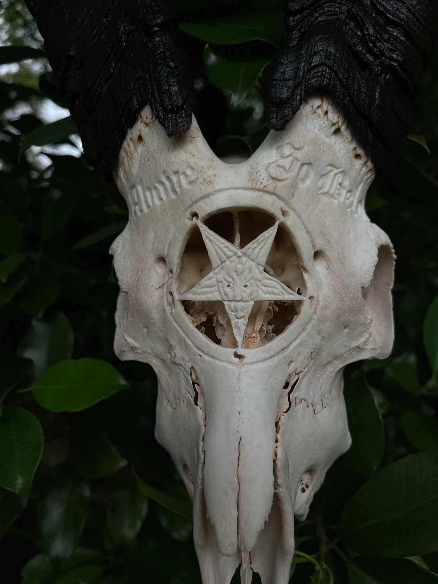 Carved Baphomet Goat