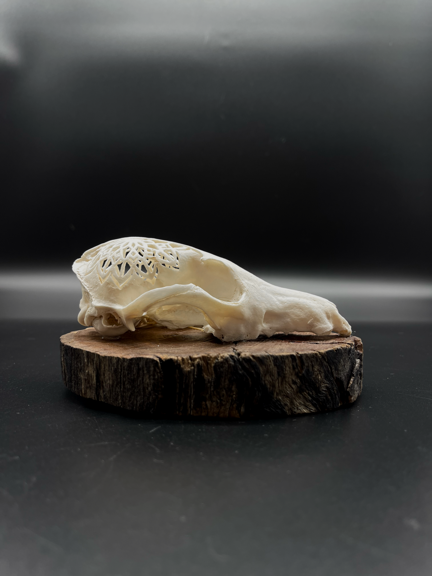 Hand-Carved Mandala Fox Skull