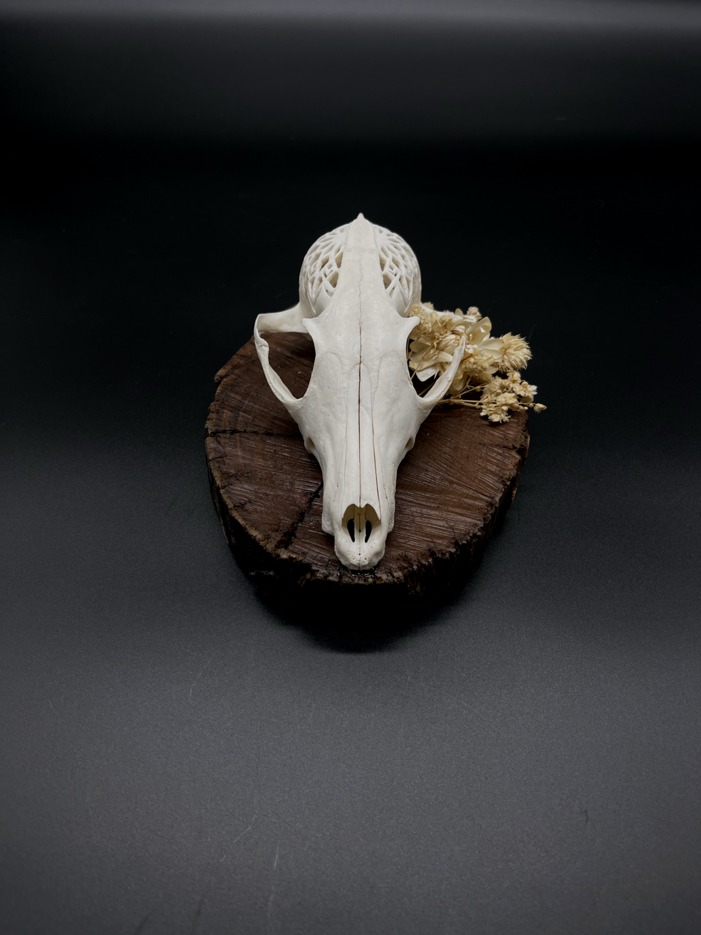 Hand-Carved Mandala Fox Skull