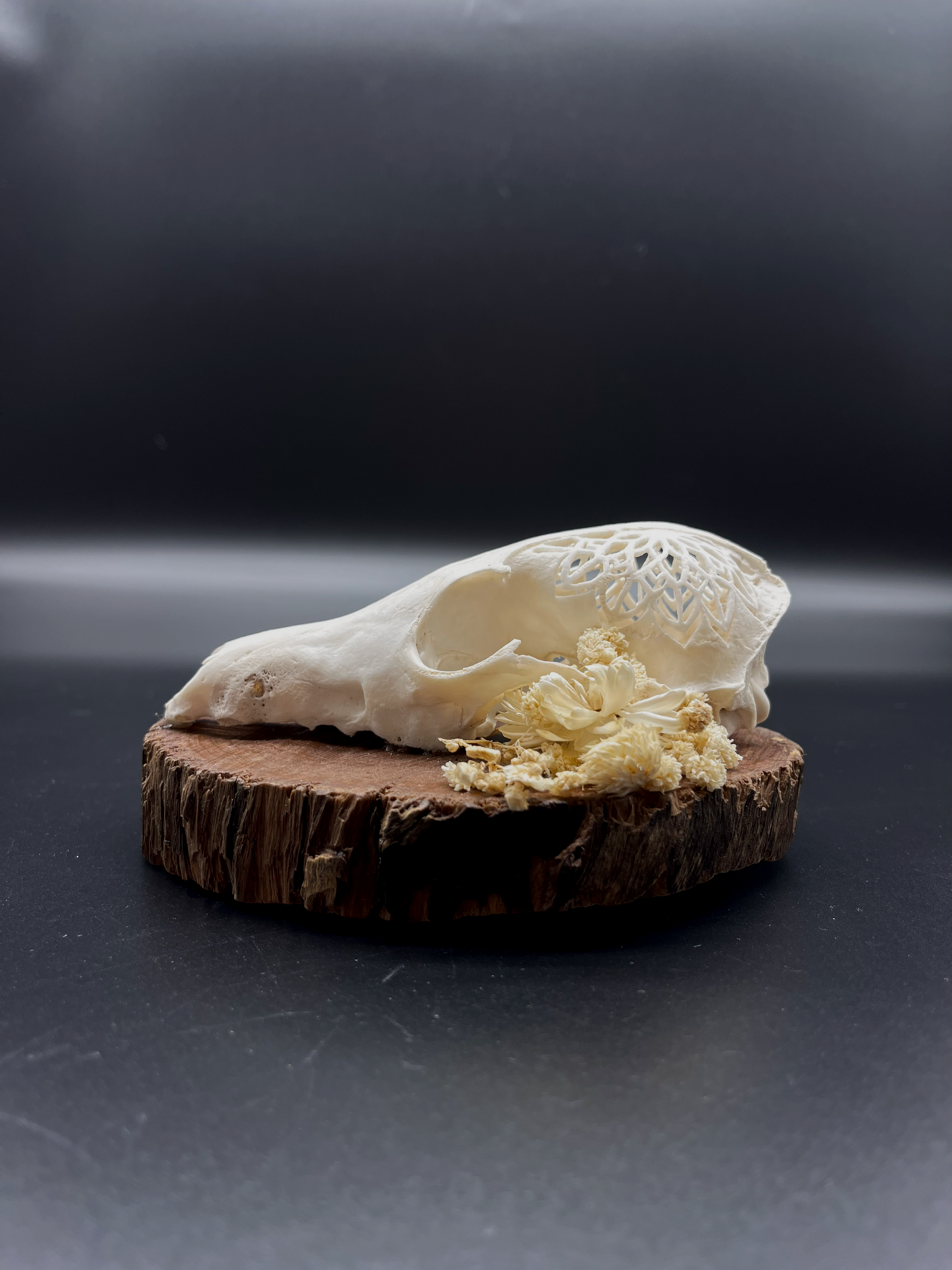 Hand-Carved Mandala Fox Skull