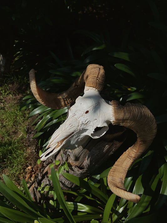 Geometric Ram Skull Carving
