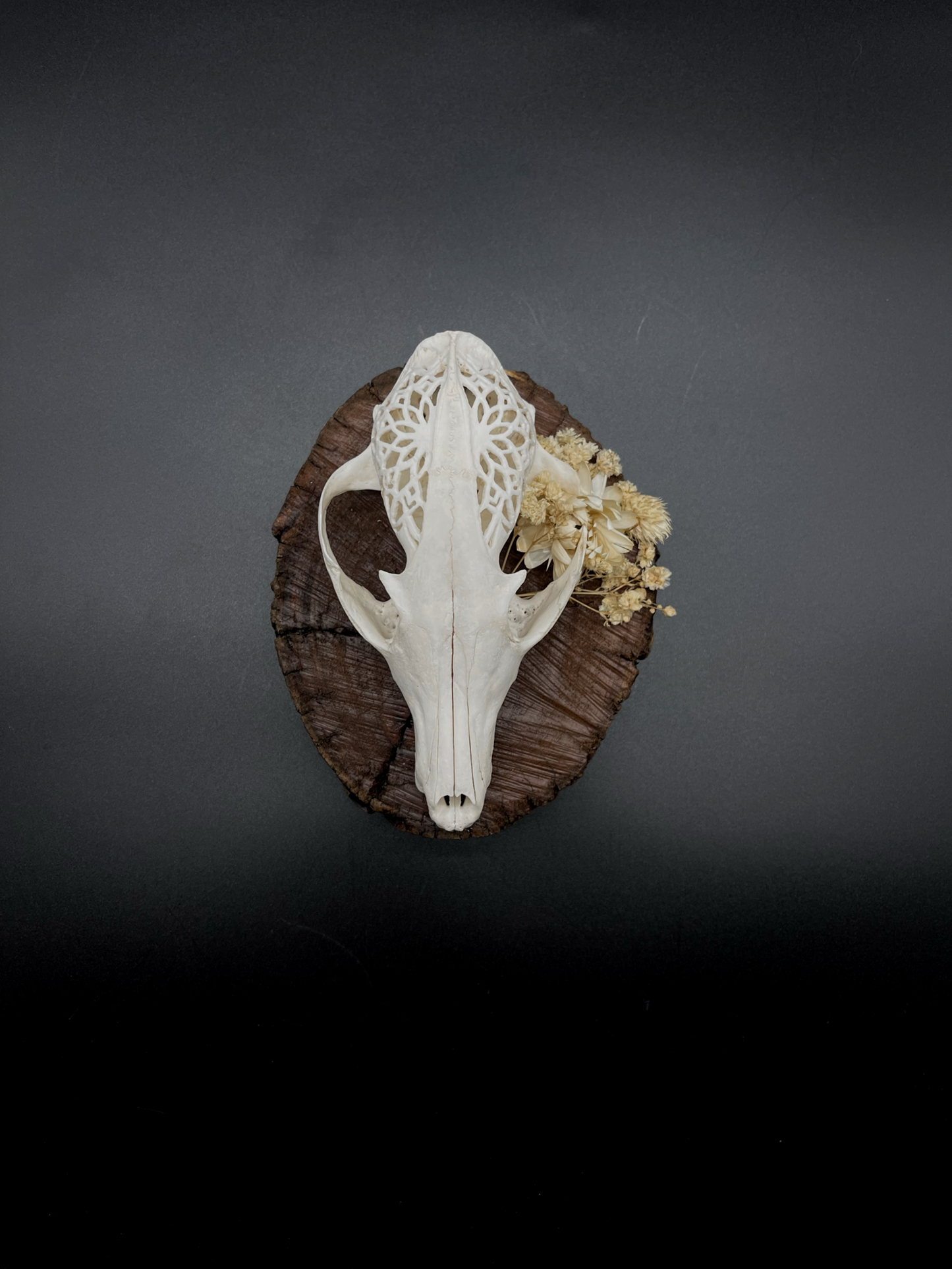 Hand-Carved Mandala Fox Skull