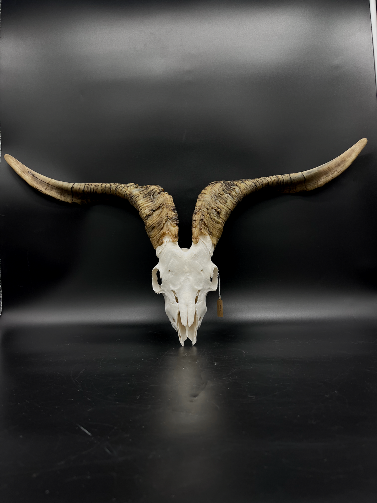 Wall Hanging Rangeland Billy Goat