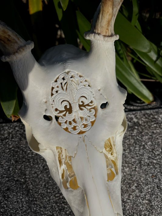 Ornately carved young Fallow Buck