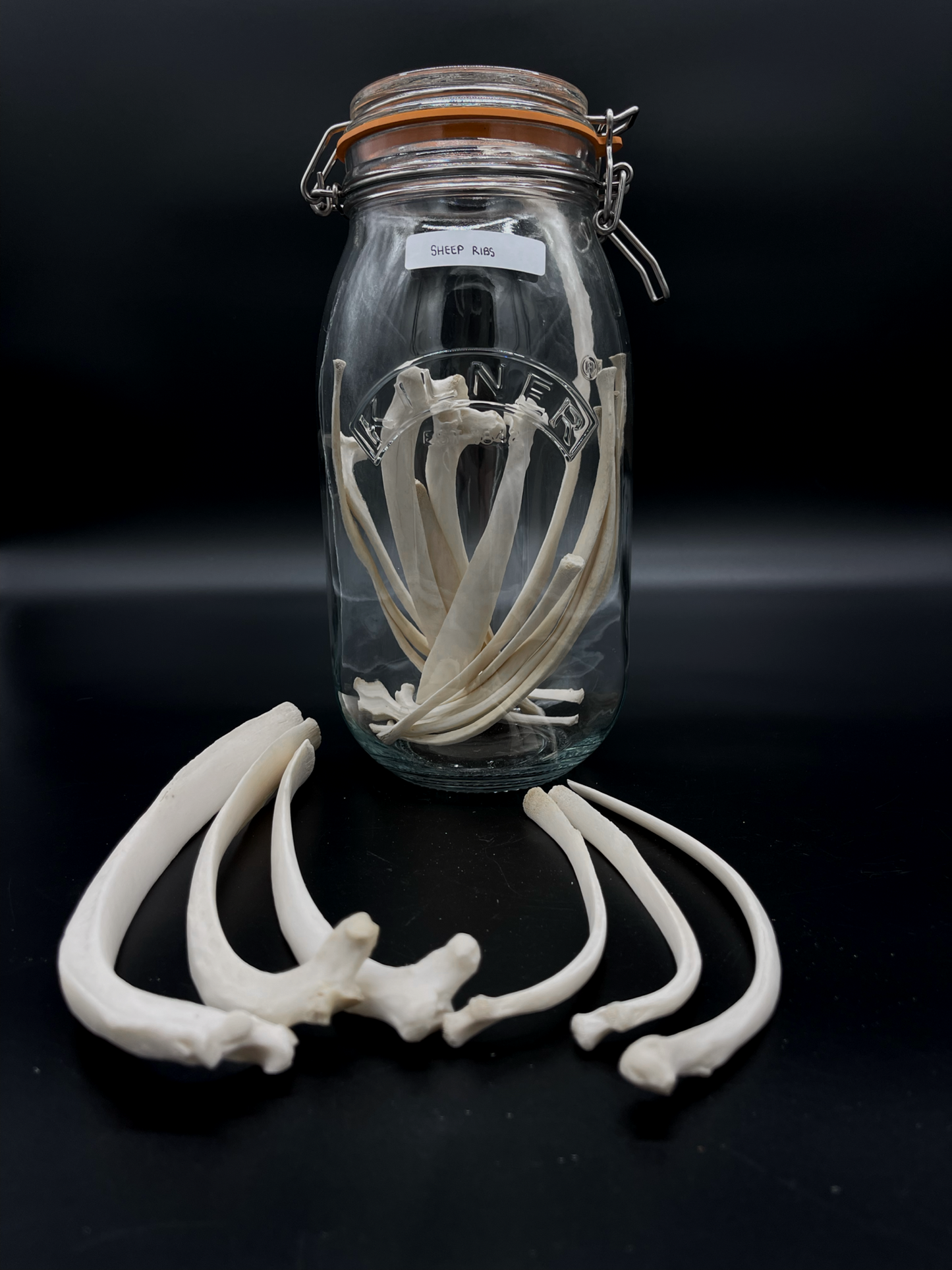 Sheep Rib