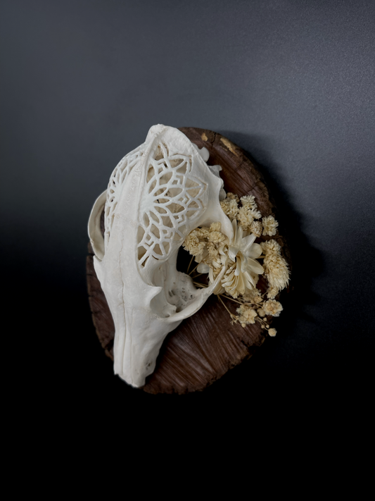 Hand-Carved Mandala Fox Skull