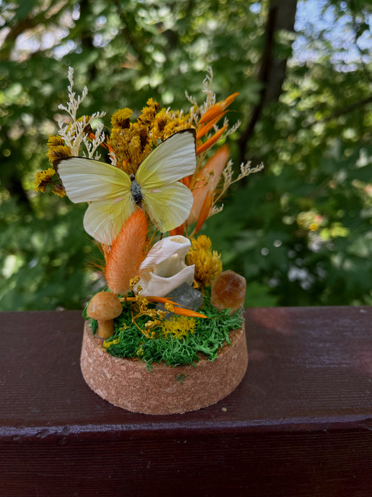 ‘Energy’ Turtle Skull Dome with Common Emigrant Butterfly